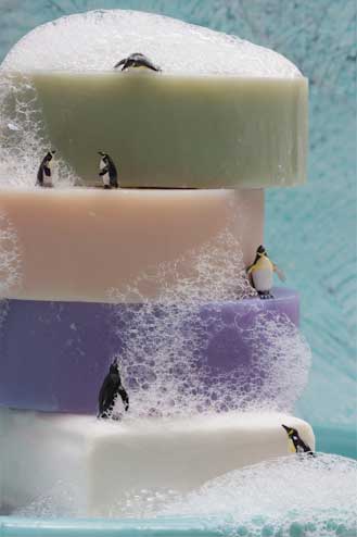 Penguin Spa by Judy Robinson-Cox